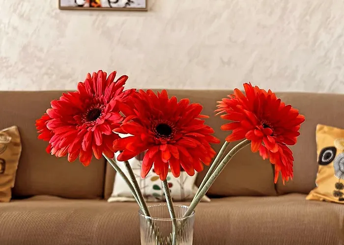 Apartamento L'orizzonte *